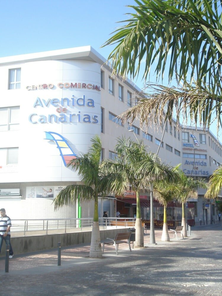 Фото Hotel Avenida de Canarias