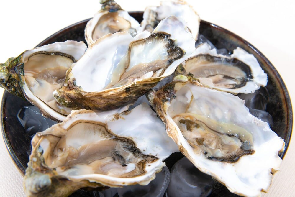 Фото Hotel Acapulco