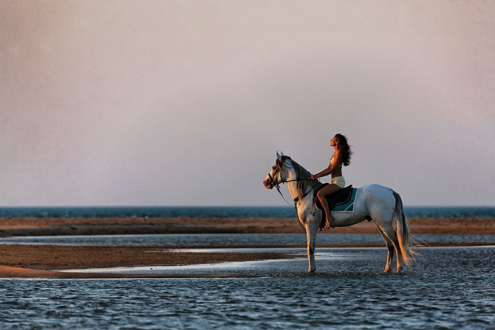 Фото Captain's Inn