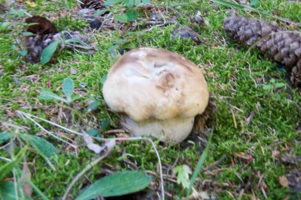 Фото Albergo Sciatori