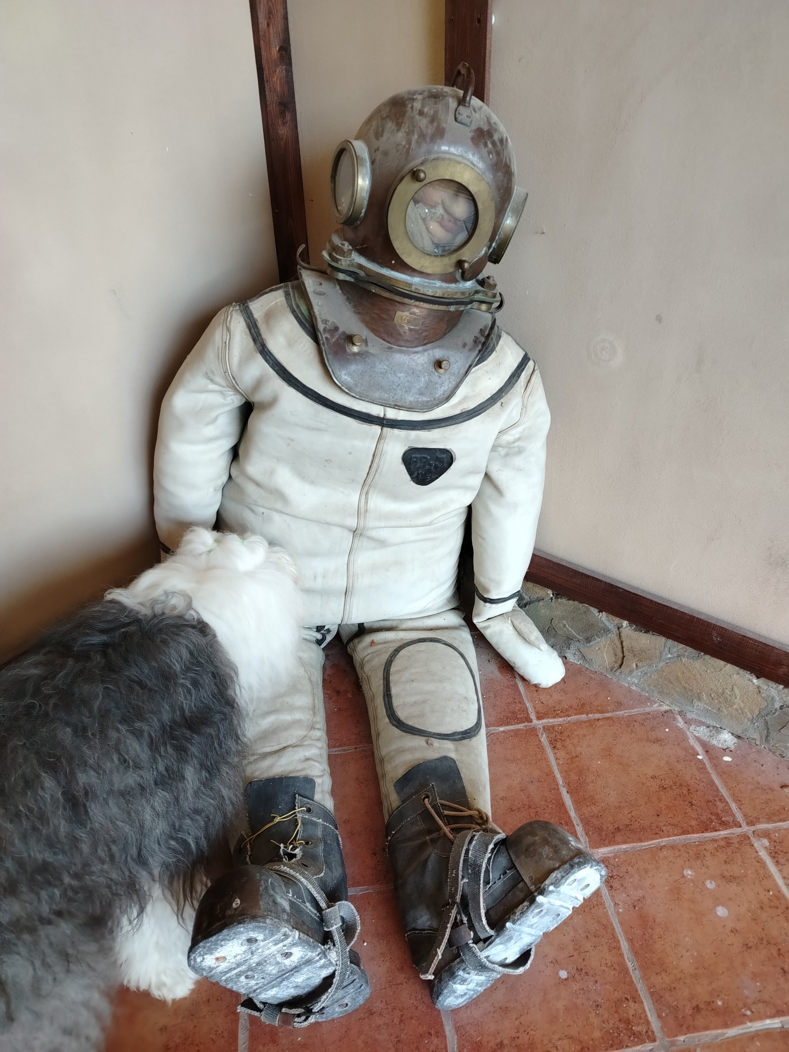 Фото Светлица