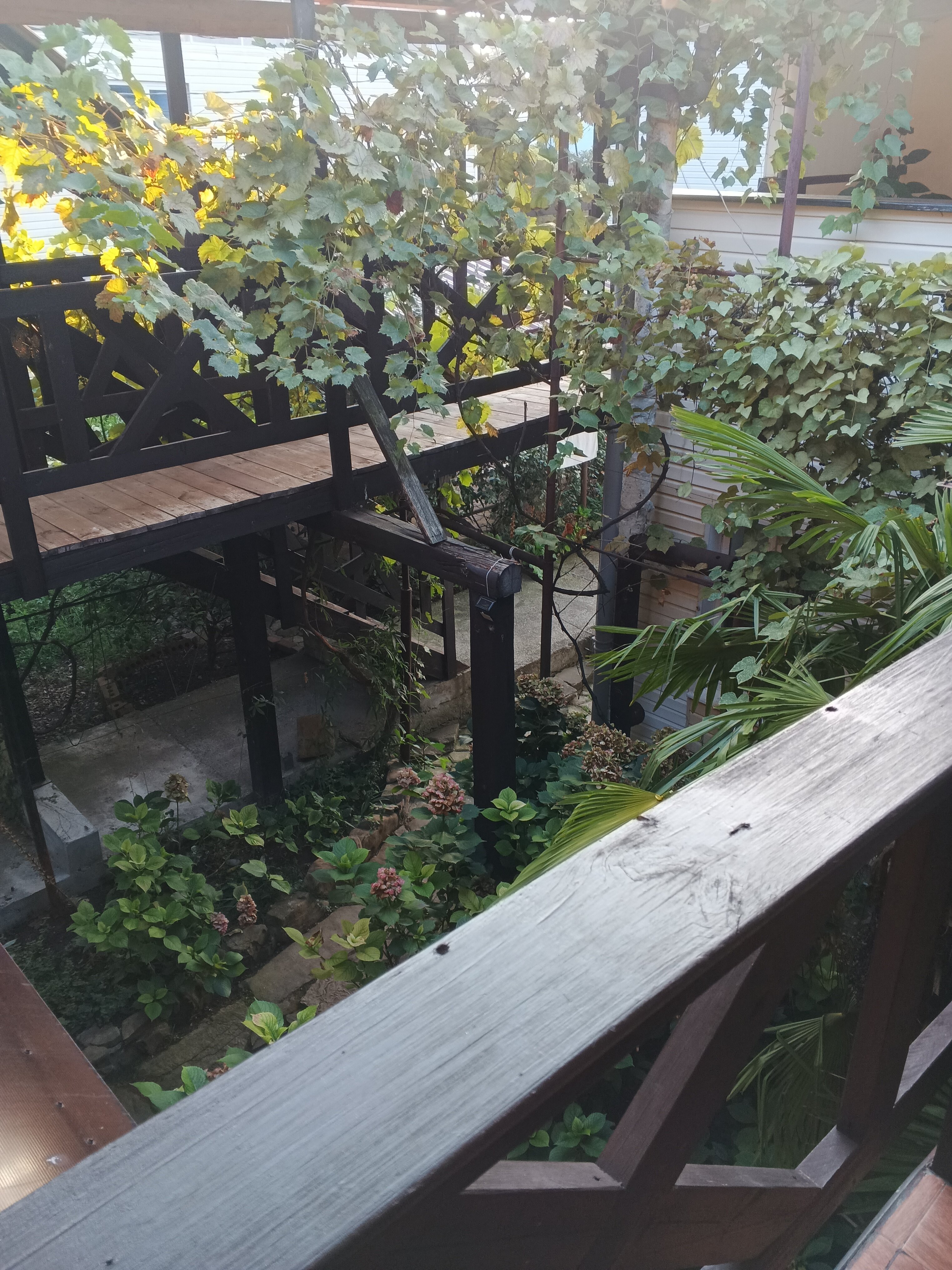 Фото Солнышко