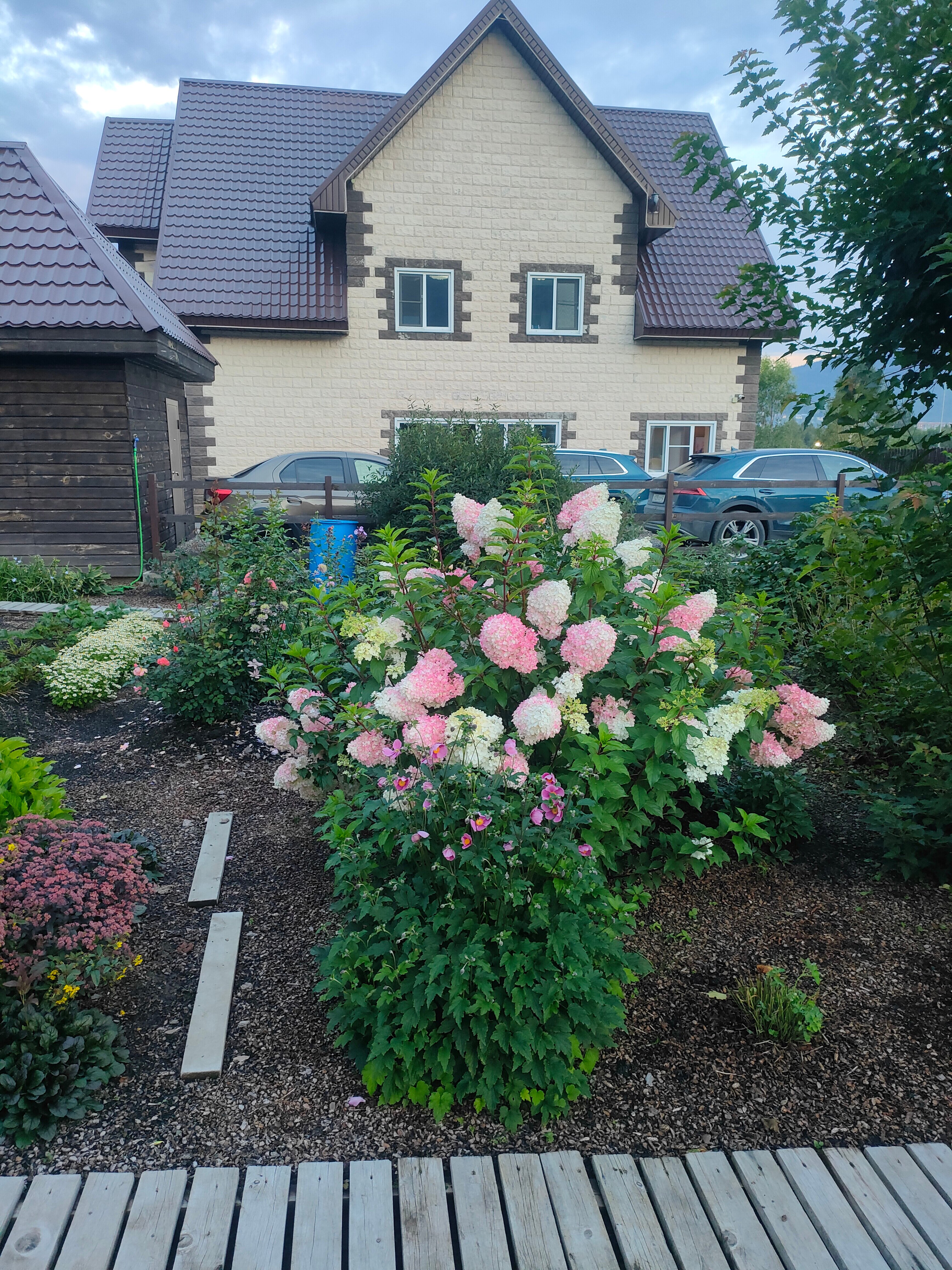 Фото Хижина дяди Саши