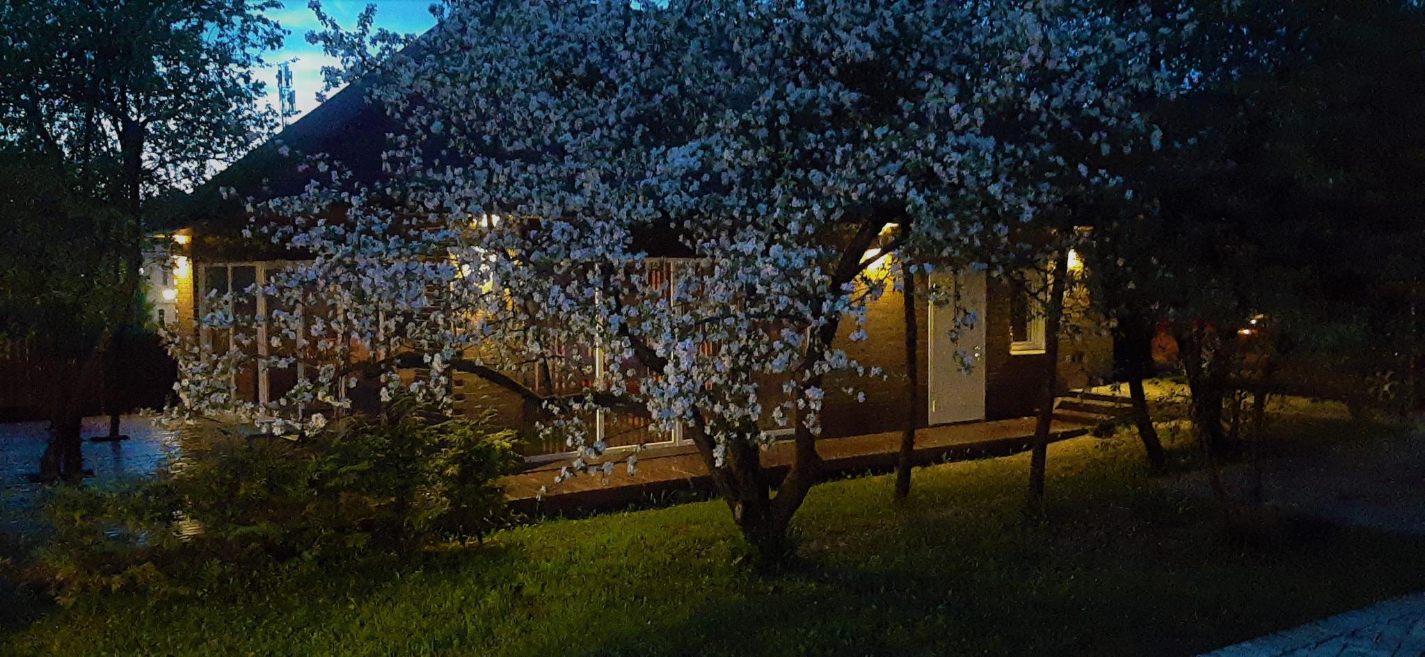 Фото Гостевой дом у Иветты