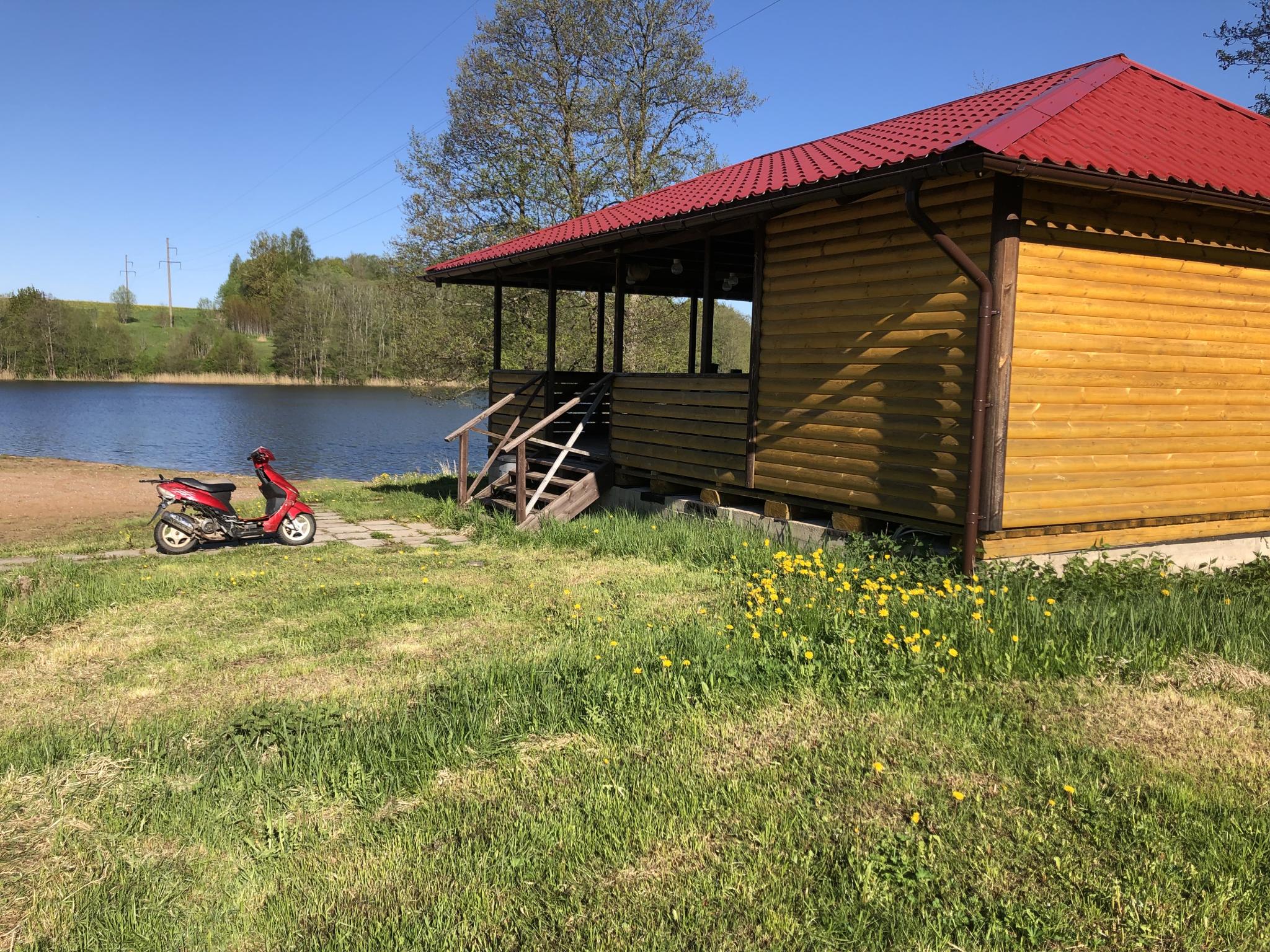 Фото Лесная гавань