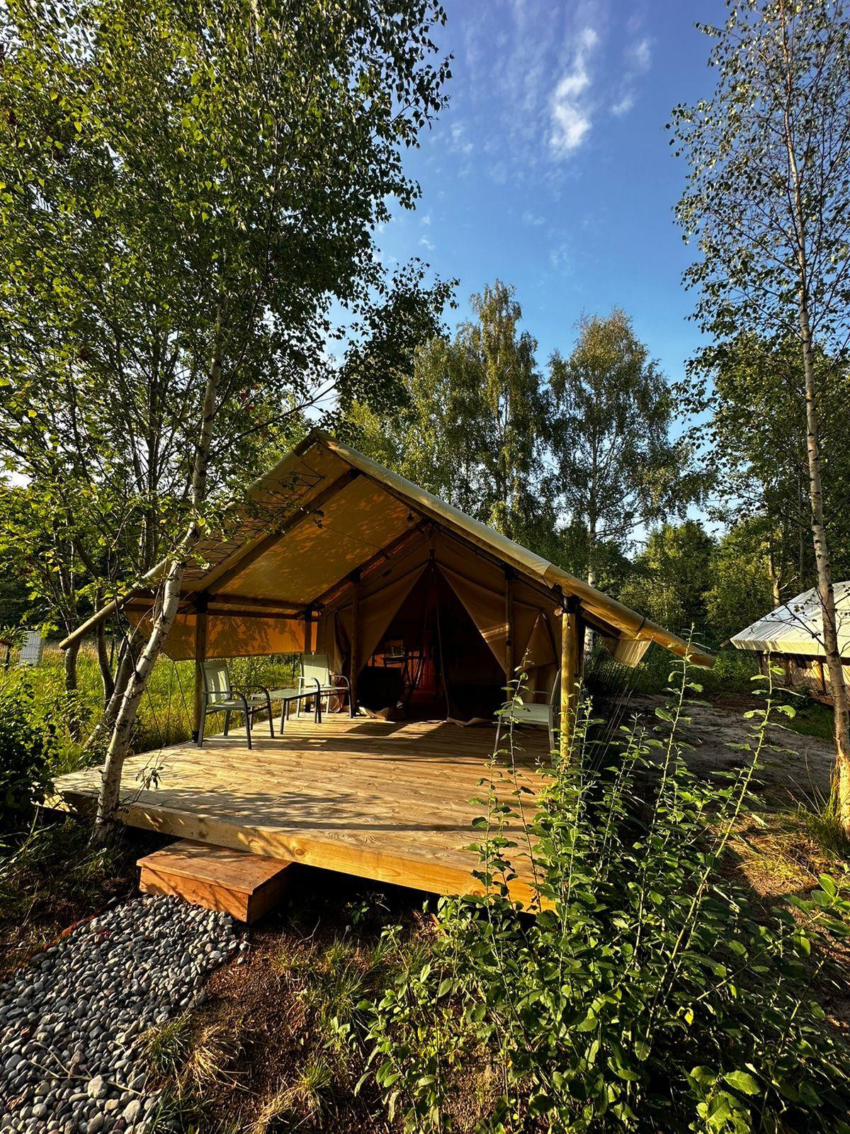 Фото Малина