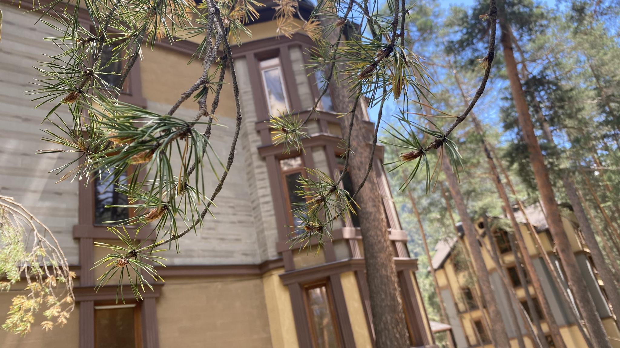 Фото Горная Сказка