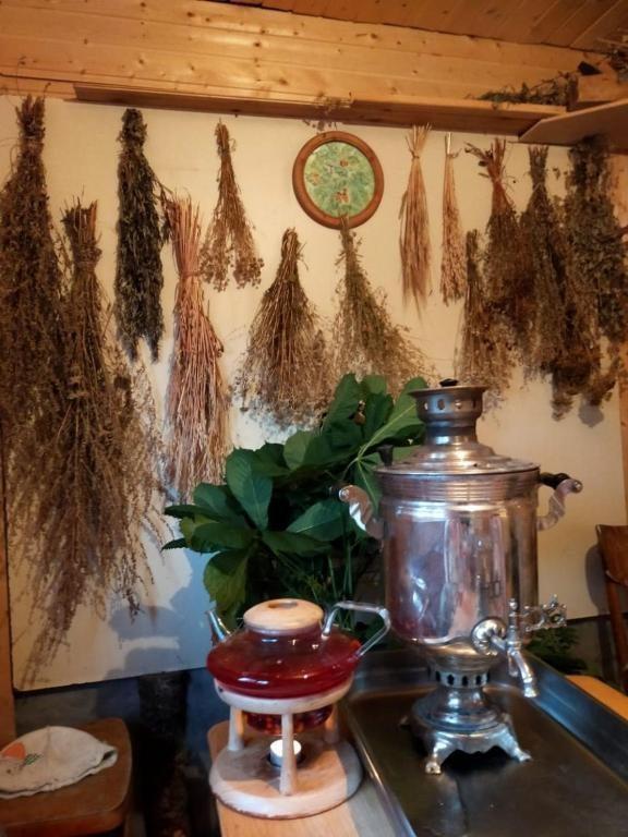 Фото Дом Солнца