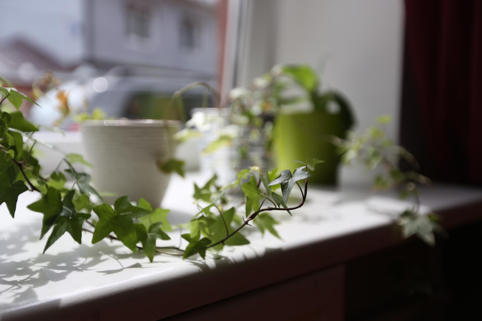 Фото Дом экипажей Uninn