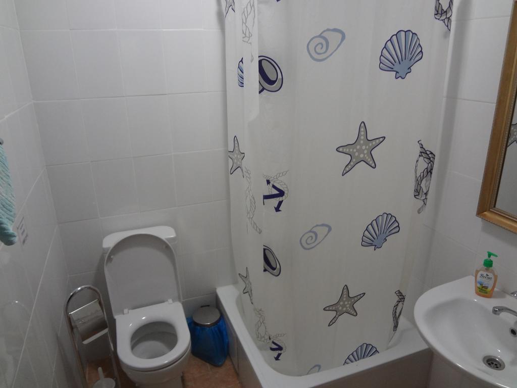 Фото Сорока