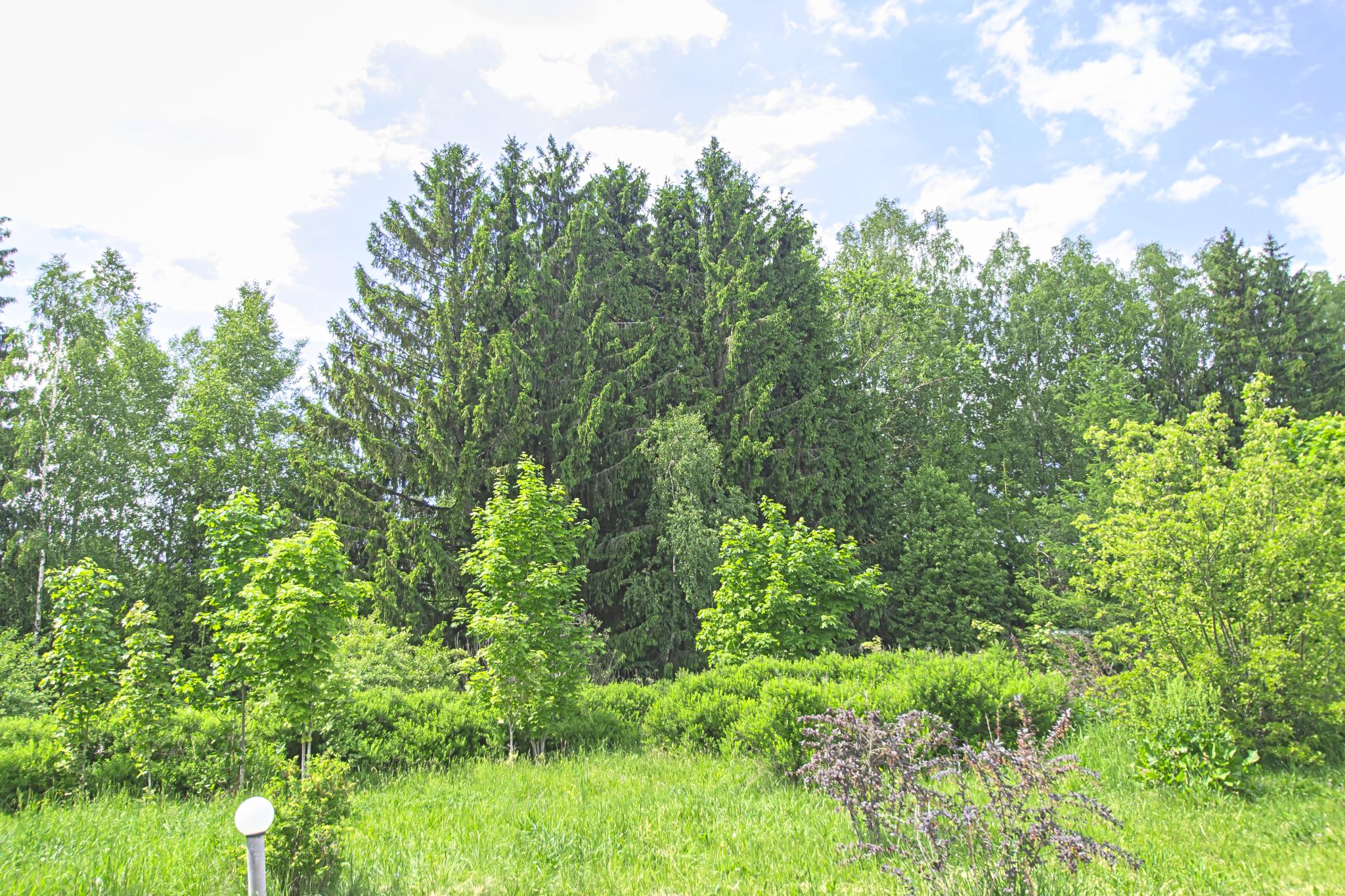 Фото Поле-отель Новая Салынь