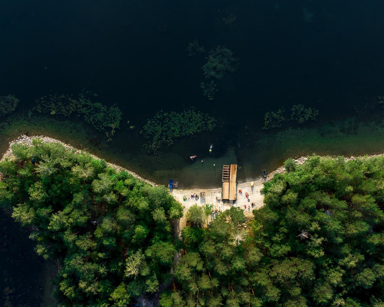 Фото Светлячок