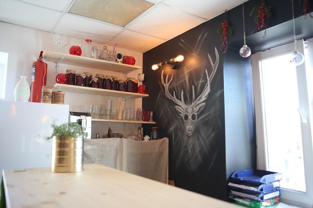 Фото Брусника