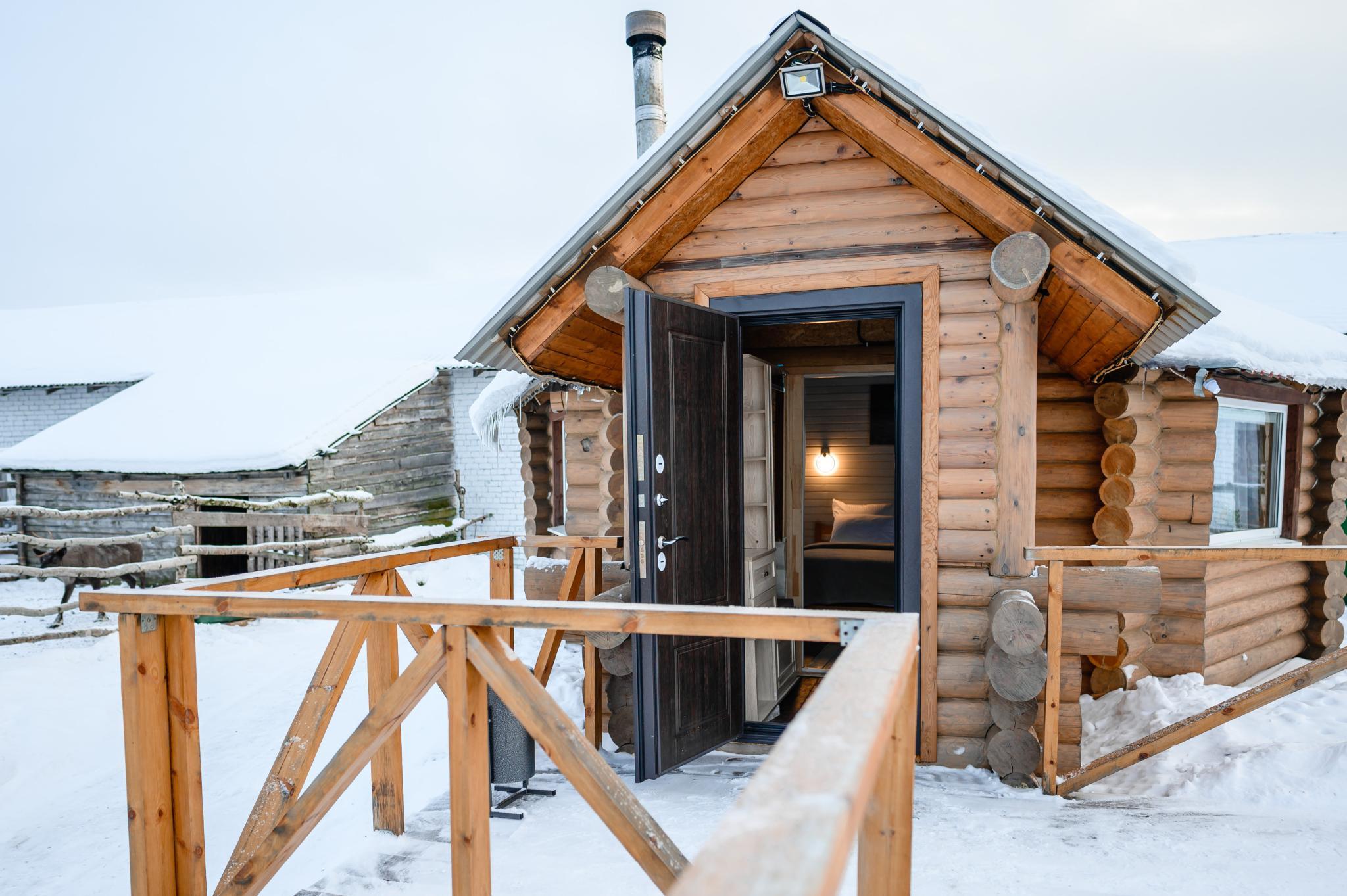 Фото Мурманская страусиная ферма