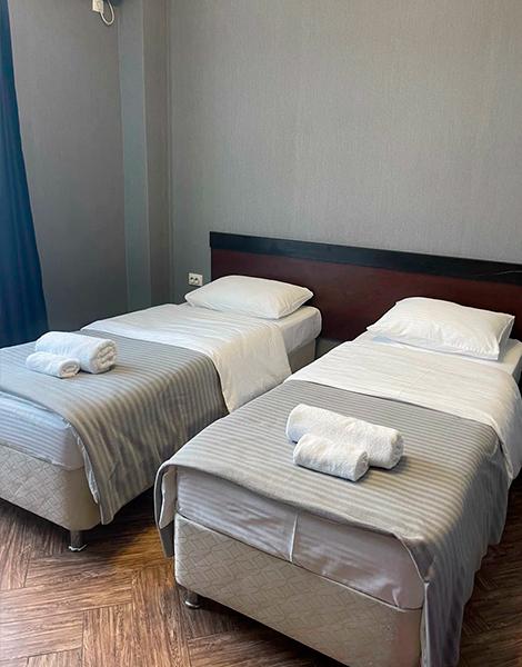 Фото Абрикос