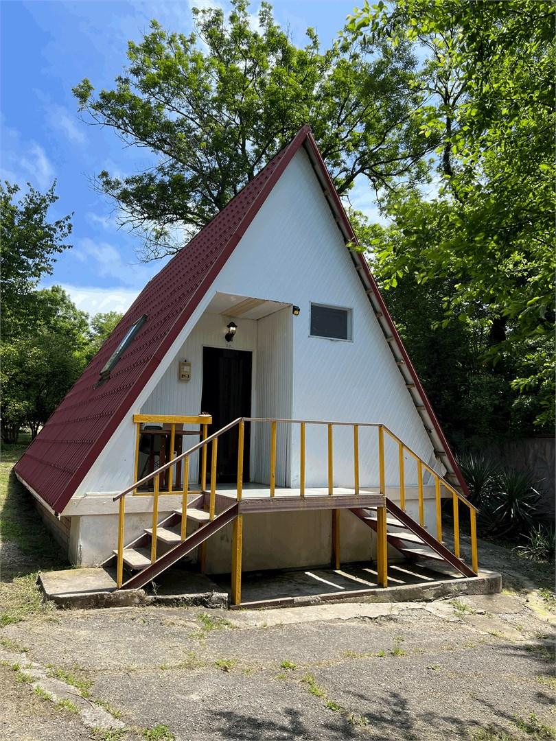 Фото Лунная поляна