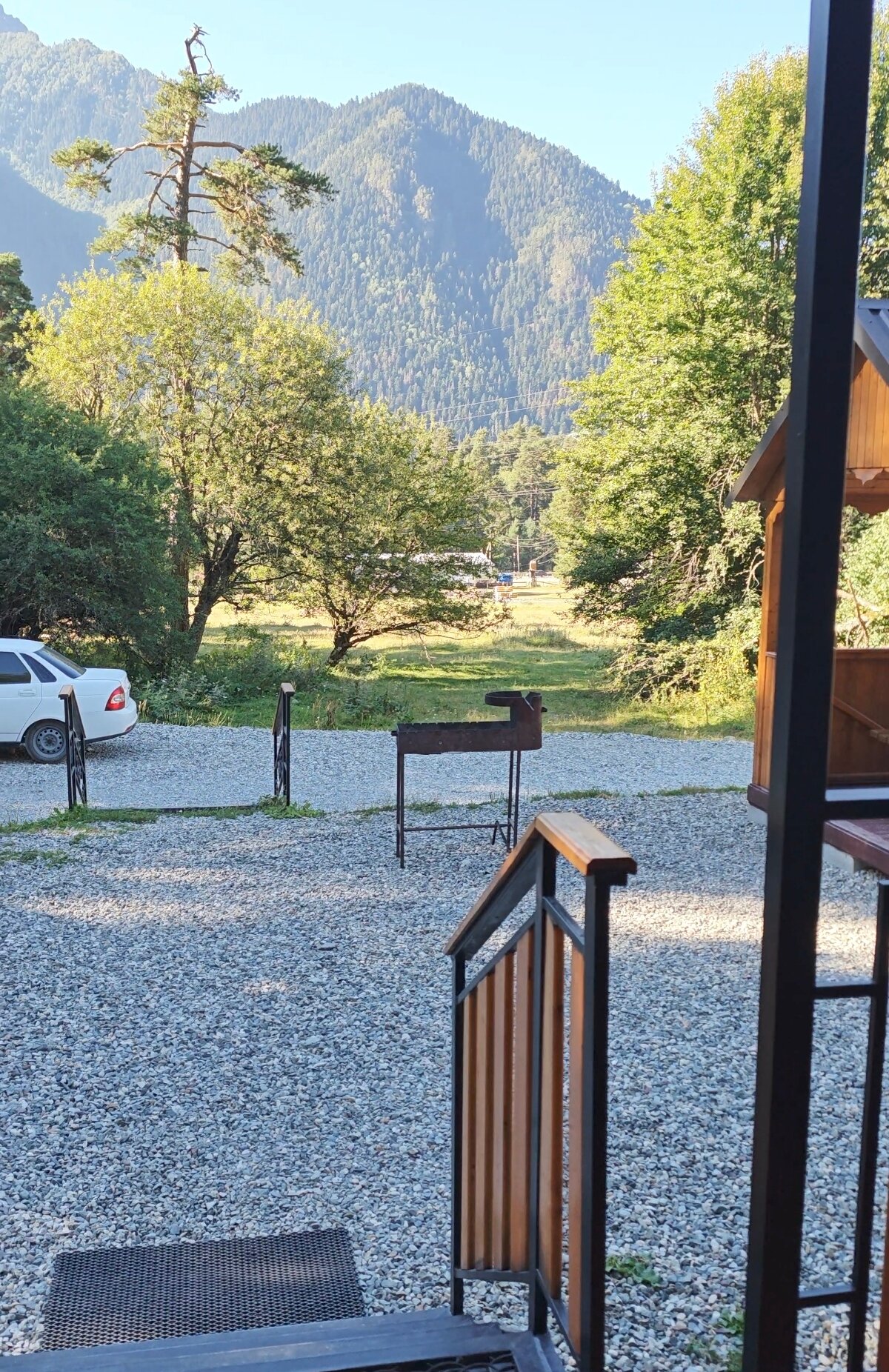 Фото Paradise Forest