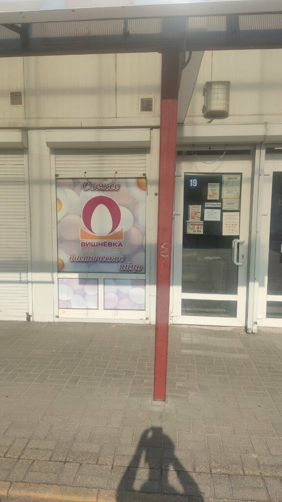 Egg and poultry meat Вишнёвка, Bobruisk, photo