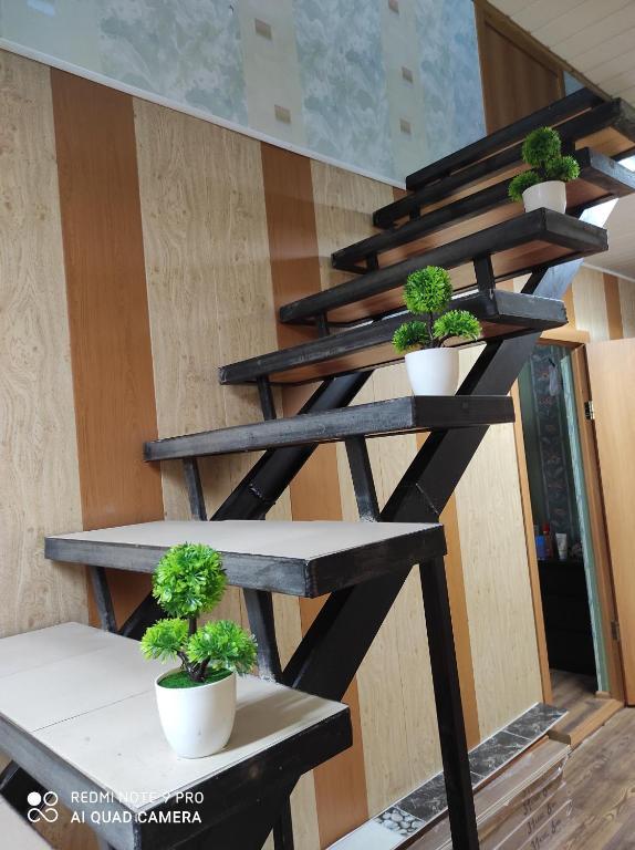 Фото Онегин