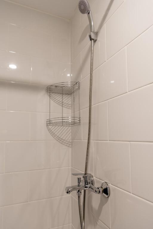 Фото Вояжер