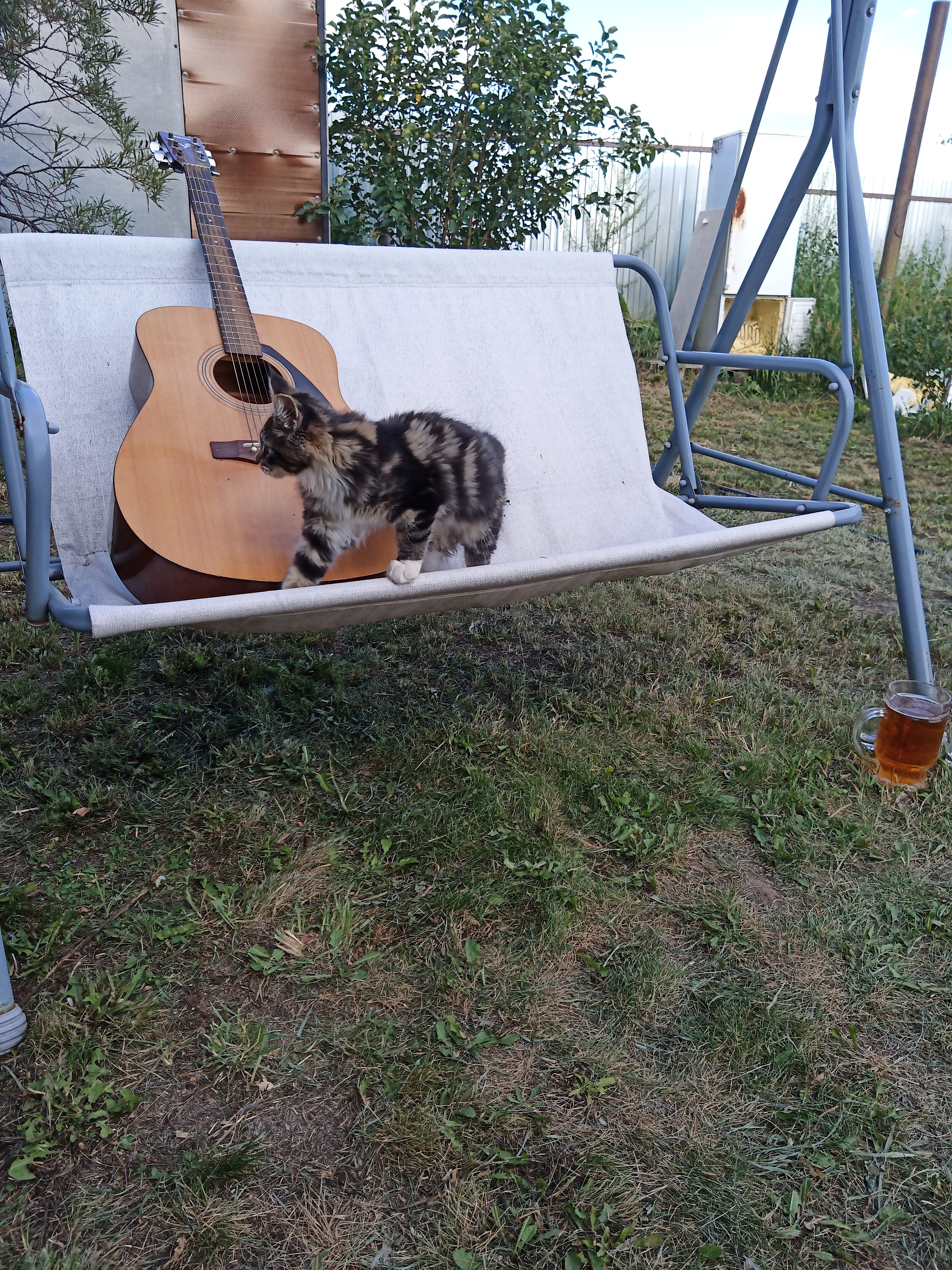 Фото Медвежье