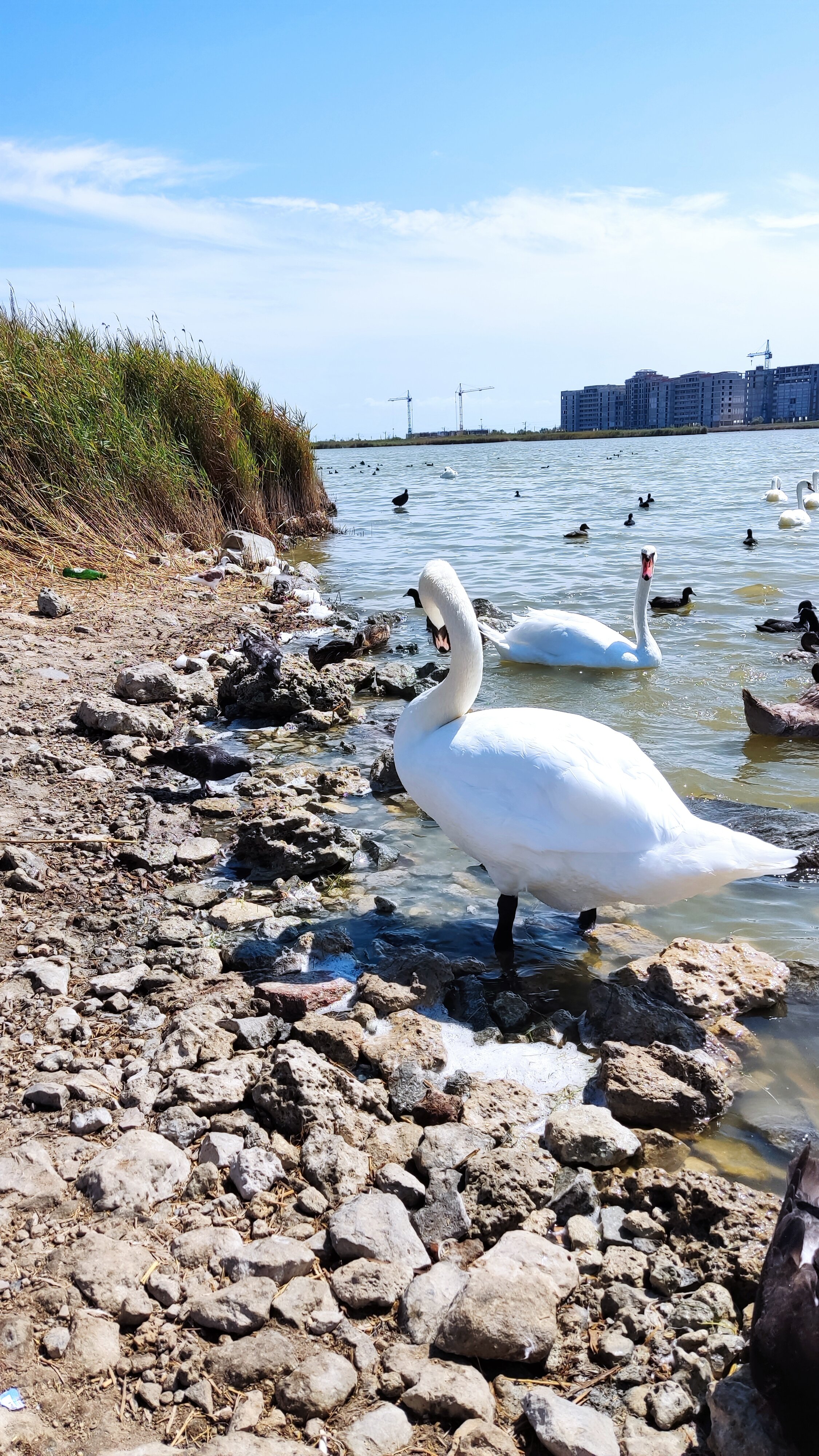 Фото Прибой