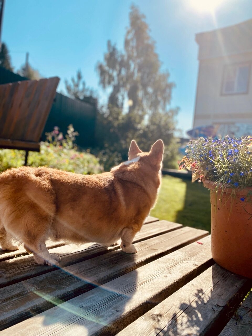 Фото Ласточкино гнездо