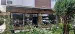 Insurance Cat Insurance Brokerage Services (Ankara Province, Cankaya District, Turgut Reis Cad., 34A), insurance broker