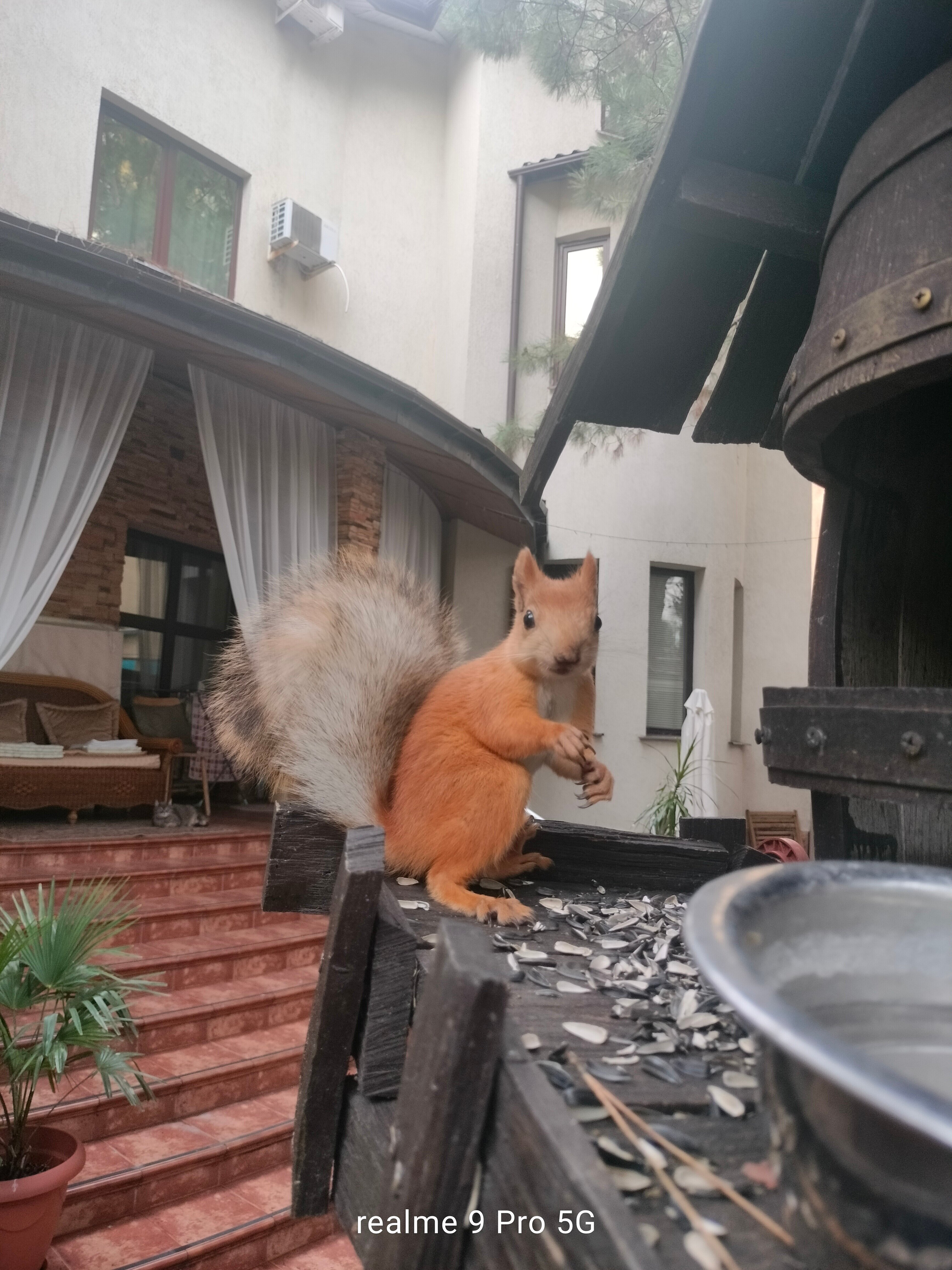 Фото Вилла Марина