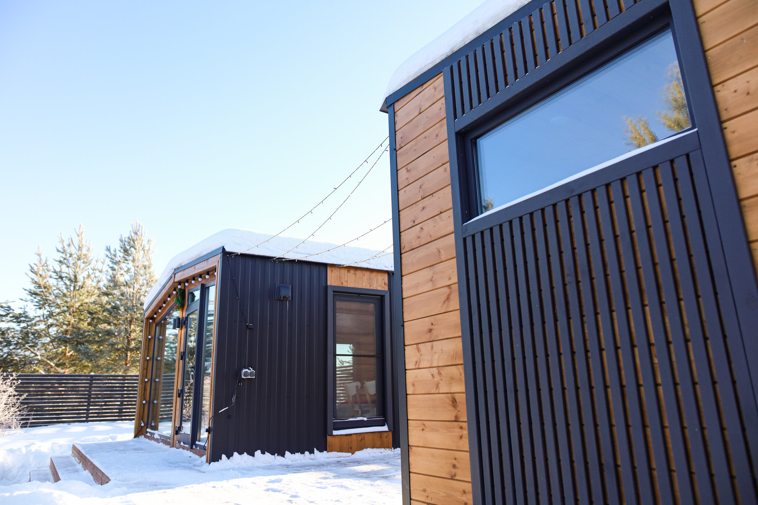 Фото На опушке