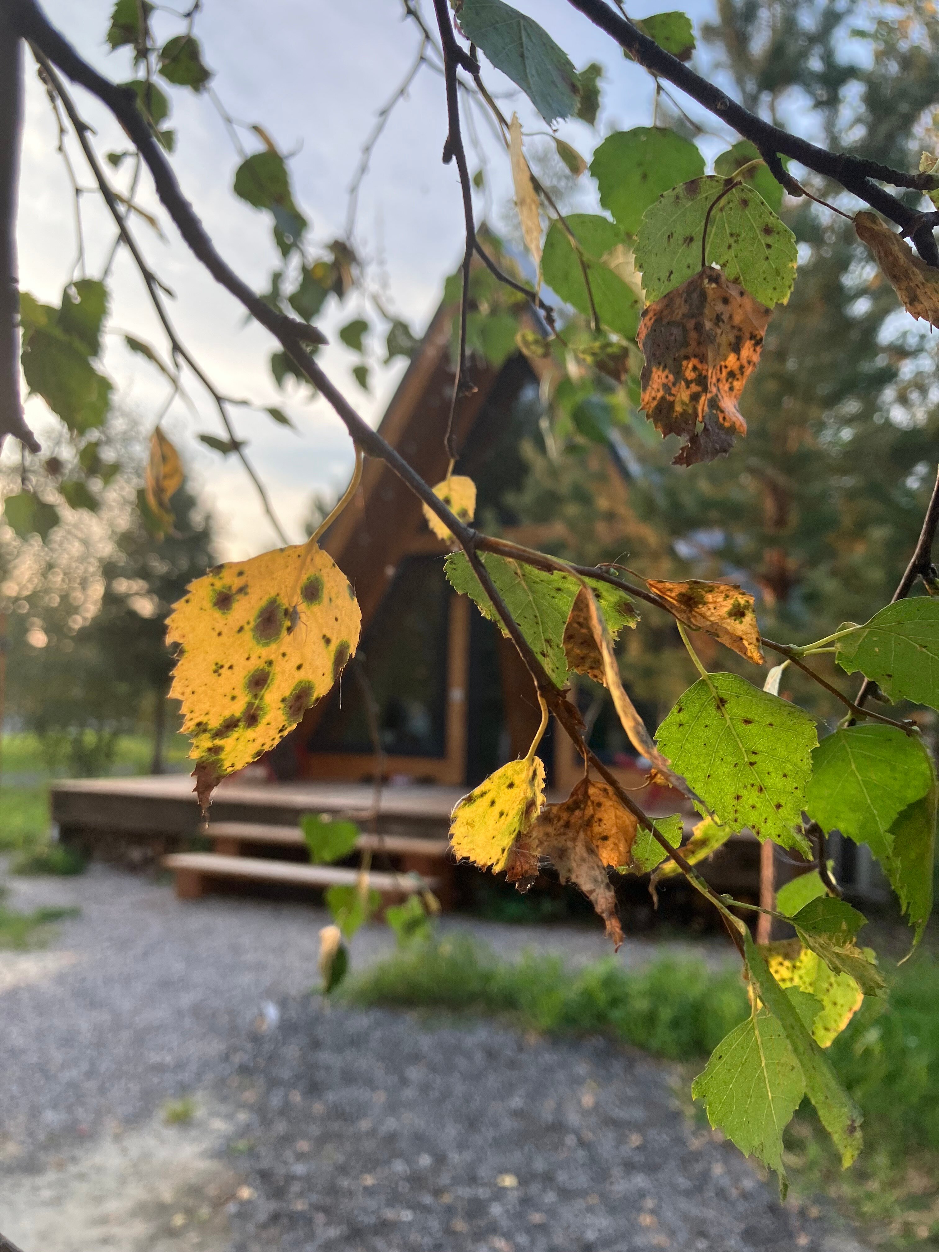 Фото Live Drive Village