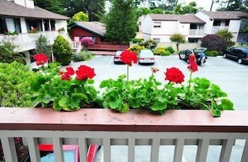 Фото Deer Haven Inn