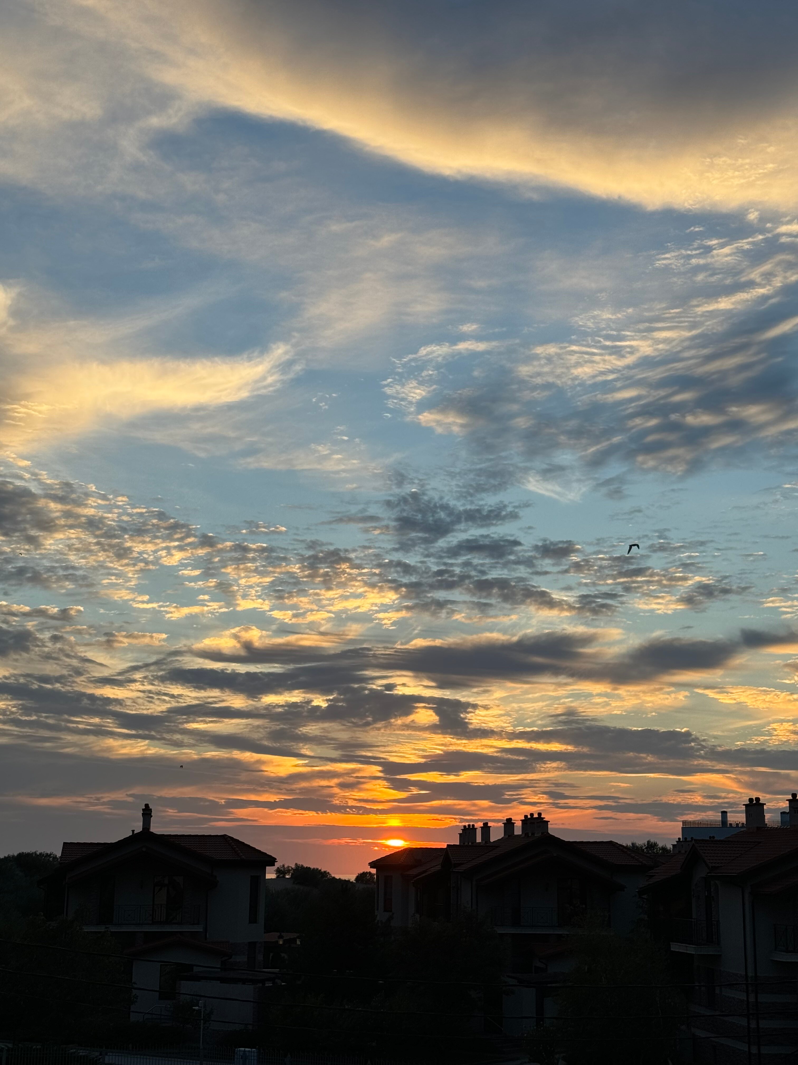 Фото Пианида