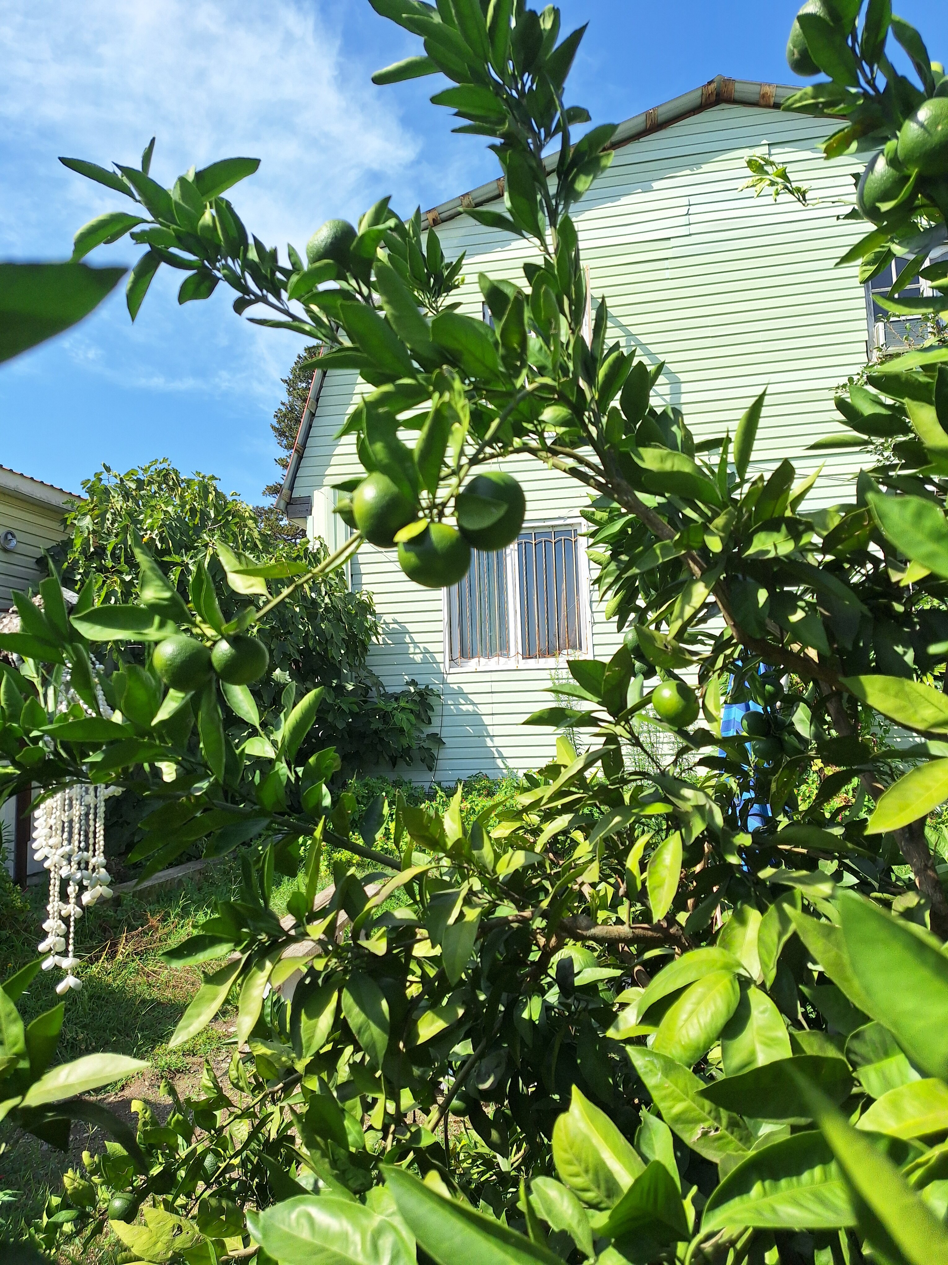 Фото Гостевой дом Шанти