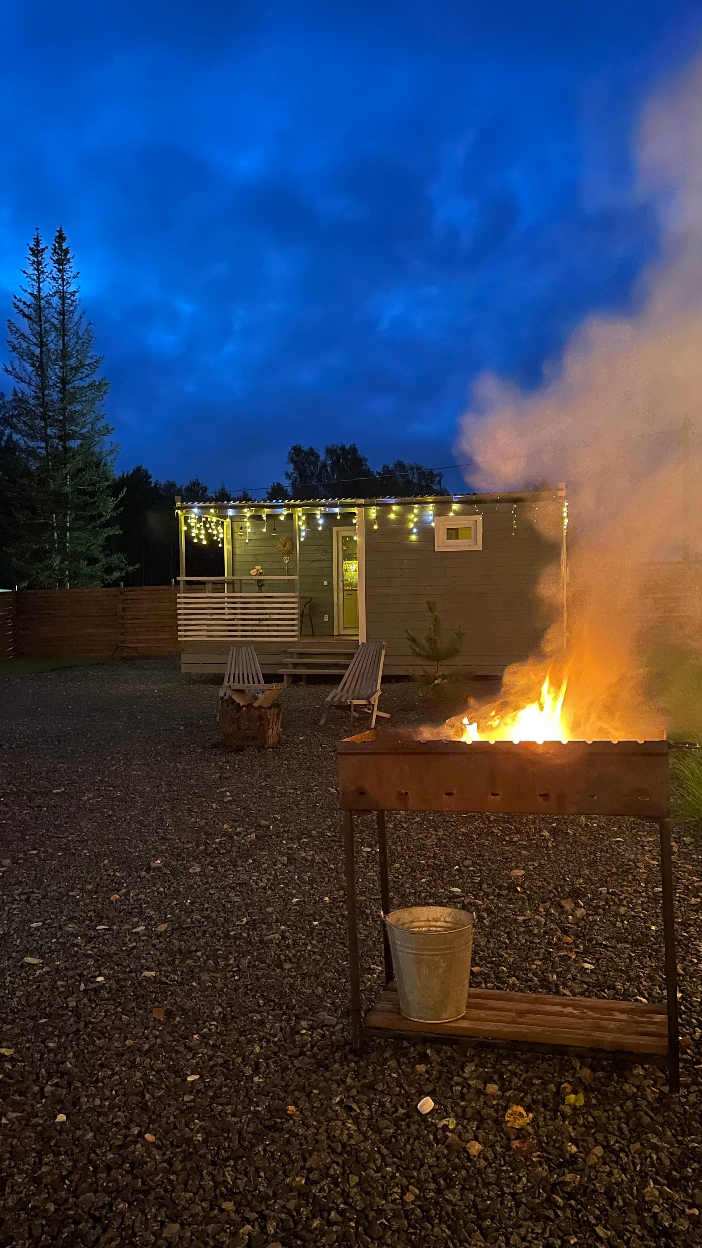 Фото Шёпот леса