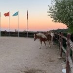 Kimiz Lokantasi (İzmir, Kemalpaşa, Torbalı Cad., 28), horse riding