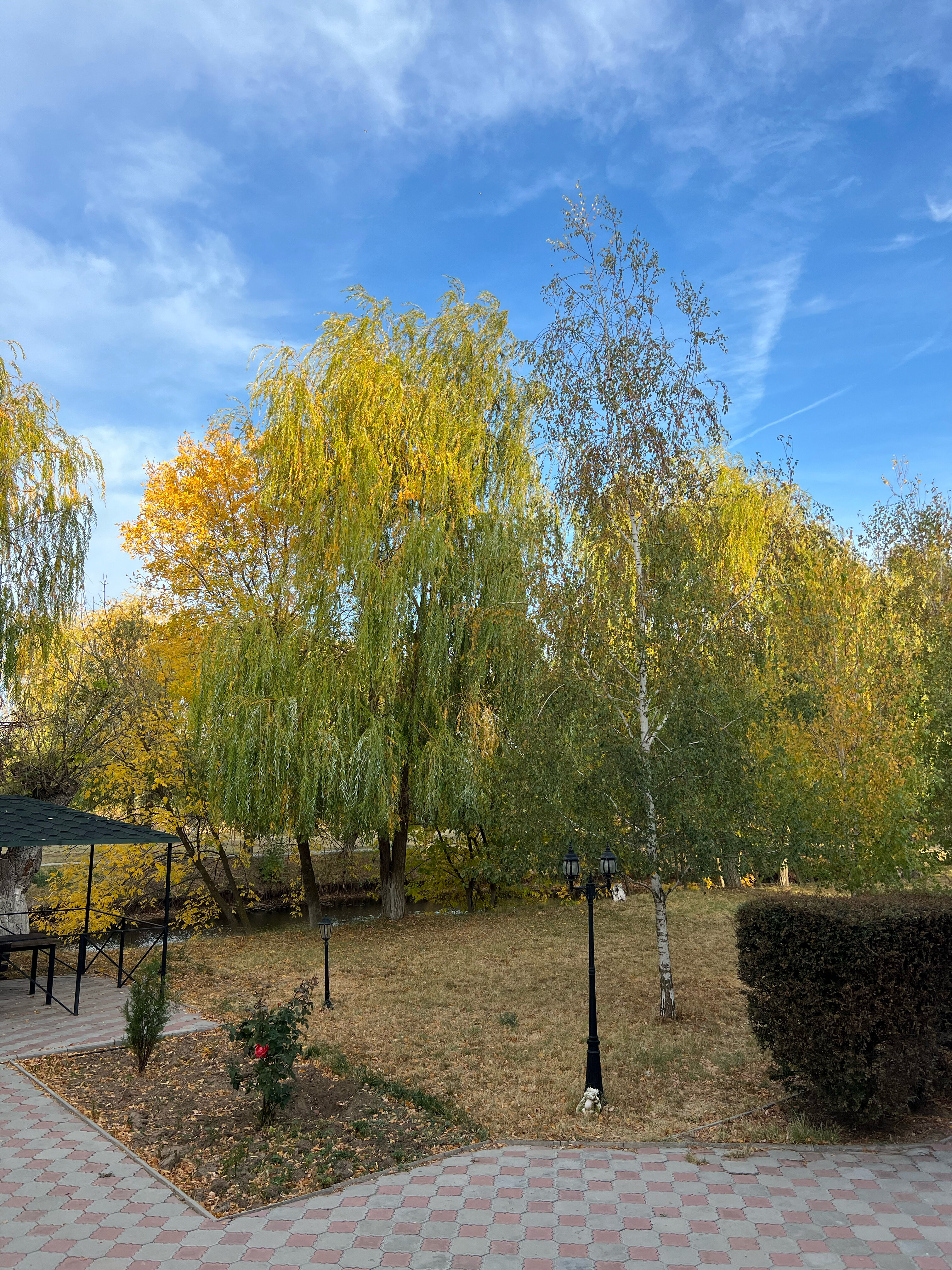 Фото Клёвое место