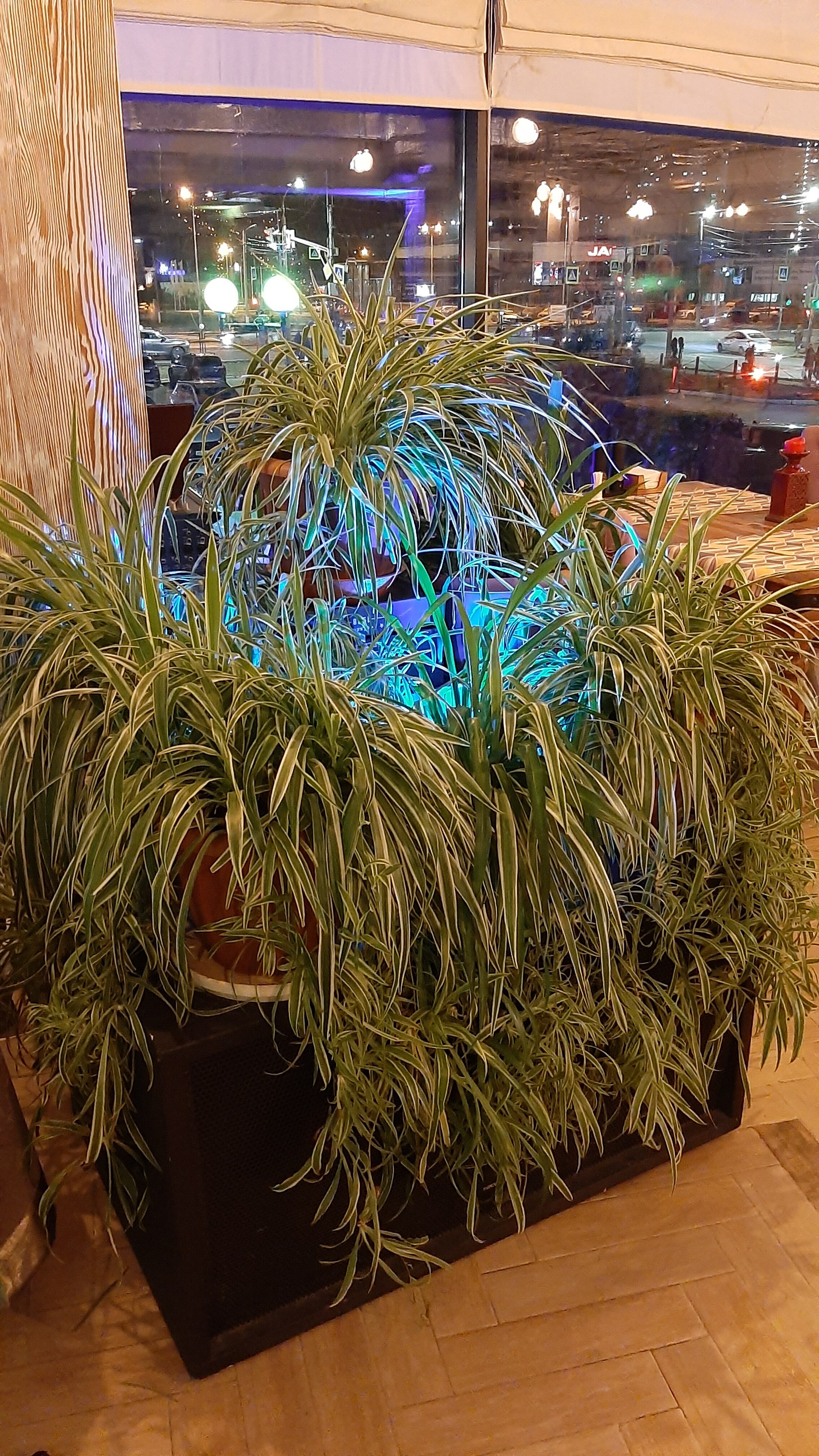 Фото Морская школа