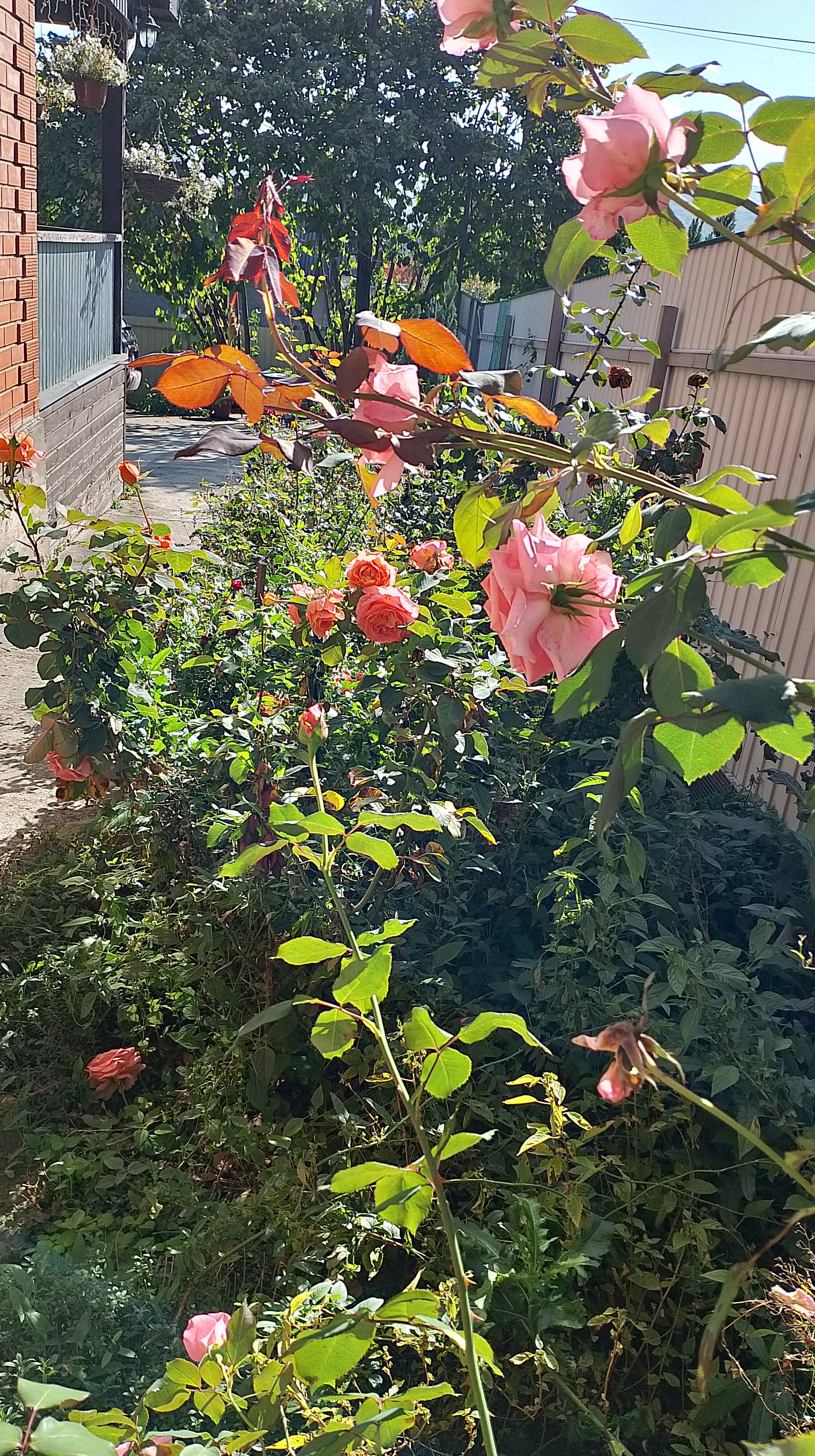 Фото Панорама