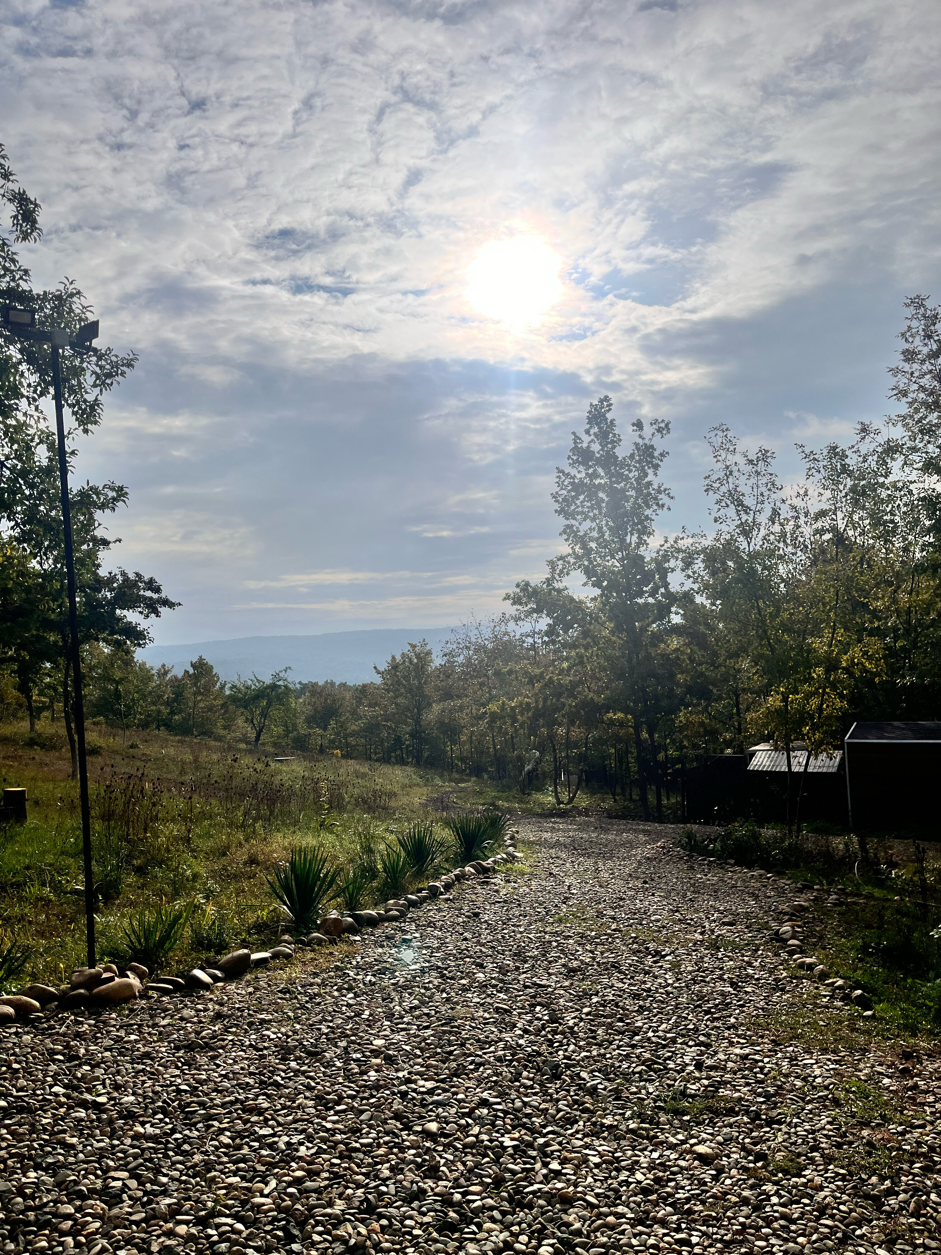 Фото Солнечный Склон