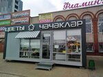 Цветы (62-y kompleks, 14) ، محل زهور