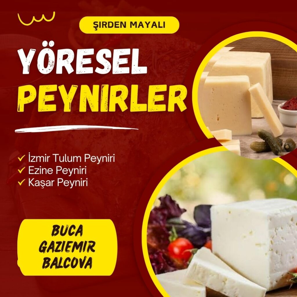 Dairy products shop Delicatessen - Gaziemir Branch, Izmir, photo