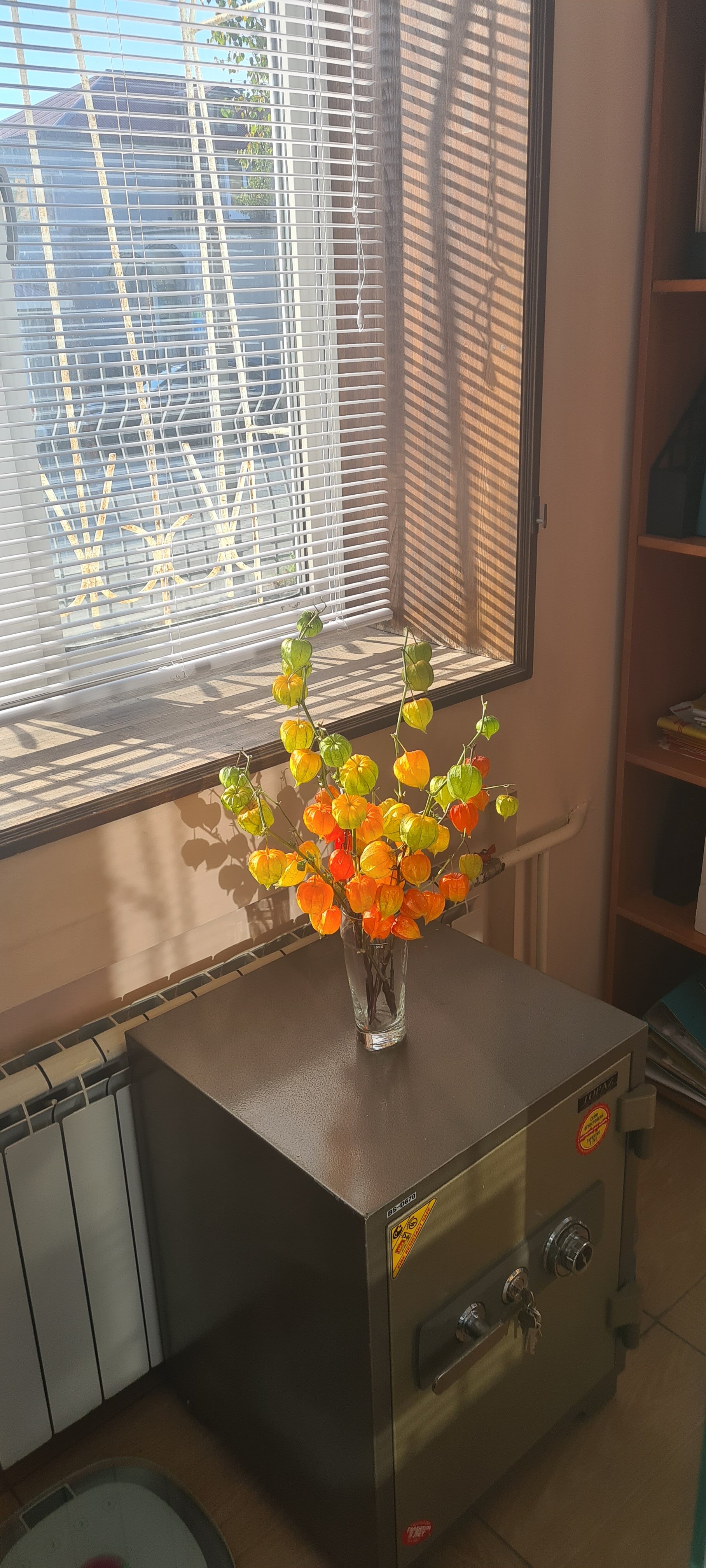 Фото Хостел123