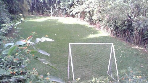 Гостиница Hotel B&b Garden Grecia в Алахуэла