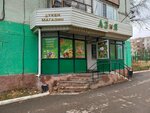 Asia (Iýbıleınyı yqsham aýdany, 37), grocery
