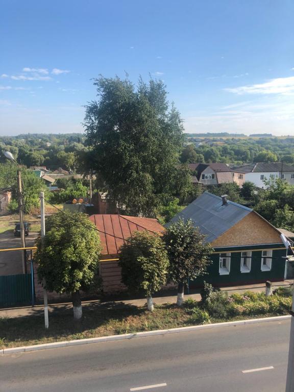 Фото Кузнечик Центральная