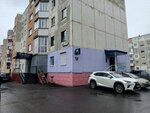Ателье (ulitsa Dzerzhinskogo, 4/1), fur studio