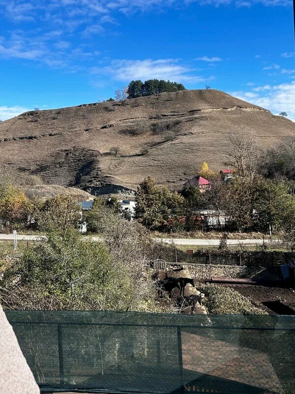 Фото Усадьба Яблонька