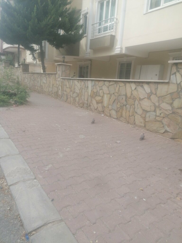 Restaurant Karsiyakali Wrap Master Recep, Gaziantep, photo