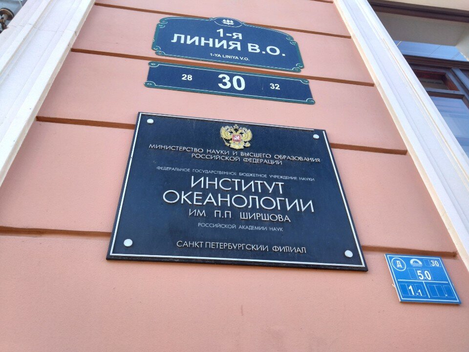 Neymar qiz bilan jinsiy aloqada